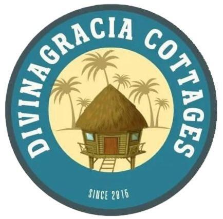 Divinagracia Cottages Сан-Висенте Экстерьер фото
